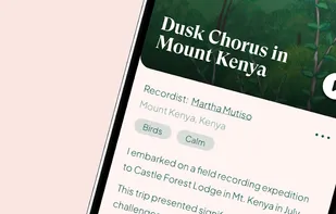 Earth.fm screenshot 3