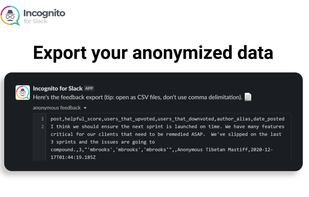 Incognito for Slack screenshot 3