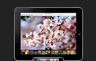 SlideShowPro Director screenshot 3