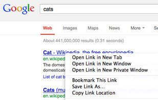 Page Portal screenshot 1