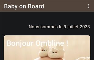 Baby on Board screenshot 3