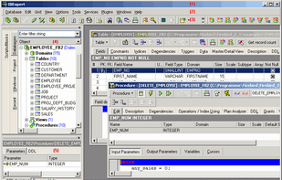 The standard IBExpert screen.
