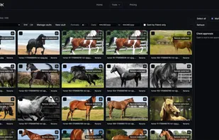 Photomark Cloud screenshot 1
