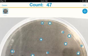 Promega Colony Counter screenshot 3