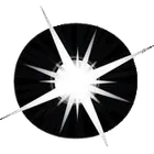 NetObjects Fusion icon