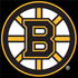 Boston Bruins icon