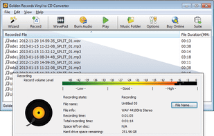 Golden Records screenshot 2