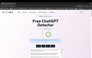 ZeroGPT Sample Human Input Image