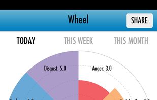 Emotion Wheel screenshot 1