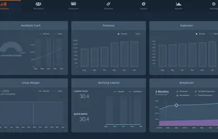 Bizplan screenshot 3