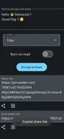 Share Paste O2 screenshot 2