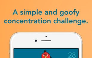 Flappy Rush: Impossible Free Fall Challenge screenshot 2