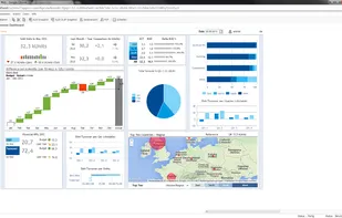 Jedox: Management Dashboard