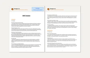 SWOT Analysis Example 1/3