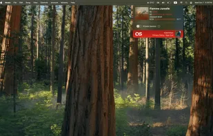 Audioscrobbler screenshot 1