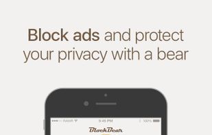 BlockBear screenshot 1