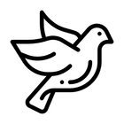 cryptgeon icon