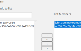 WP Mailster screenshot 3