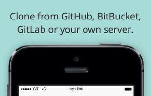 Working Copy screenshot 1