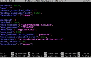 SocialVPN screenshot 1