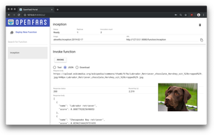 OpenFaas screenshot 1