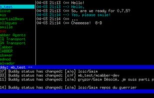 MCabber screenshot 1