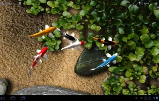 Koi Live Wallpaper screenshot 1