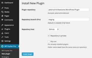 WP Pusher screenshot 1