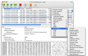 Packet Peeper screenshot 1