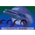 Ecco the Dolphin icon