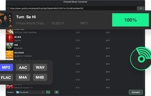 ViWizard Music Converter screenshot 1