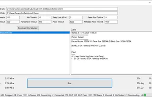 BitSwarm: GUI Client (.NET Framework Winforms)