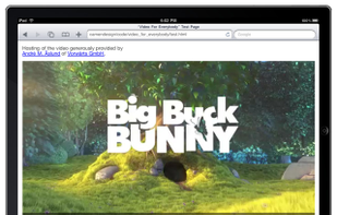 Video for Everybody screenshot 1