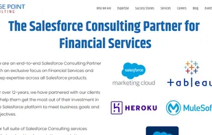 Vantage Point Consulting screenshot 1