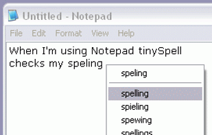 tinySpell screenshot 1