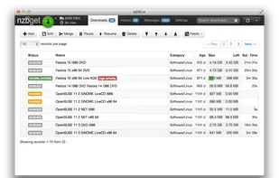 NZBGet screenshot 1