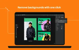 Linearity Curve screenshot 3