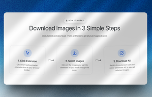 Free Image Bulk Downloader screenshot 2