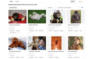 Petigree screenshot 1