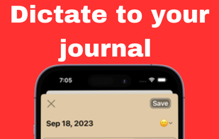 Digital Mind: Daily Journal screenshot 2