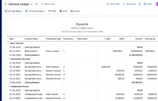 Bigcapital screenshot 3