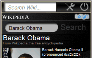InSight Desktop Search screenshot 1