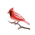 Cardinal File Search icon