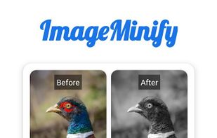 ImageMinify screenshot 3