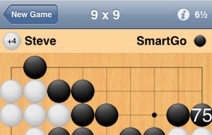 SmartGo for iPhone.