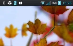 Autumn Leaves in HD Gyro 3D screenshot 1