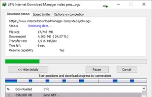 Internet Download Manager screenshot 1