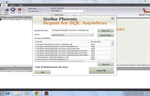 Search file