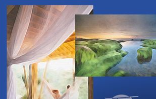 Trasa ~ Free your mind... screenshot 1