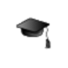 Student DOG Organizer